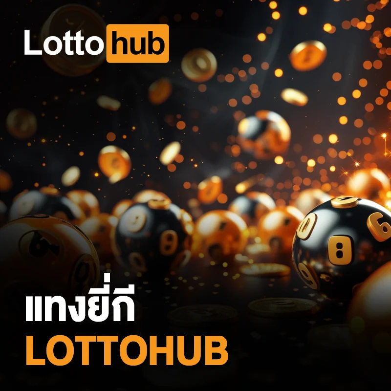 หวยยี่กี LOTTOHUB วันนี้