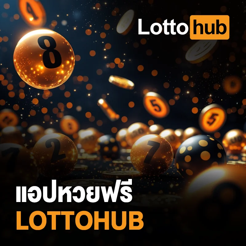LOTTOHUB แอปเช็กผลหวยฟรี