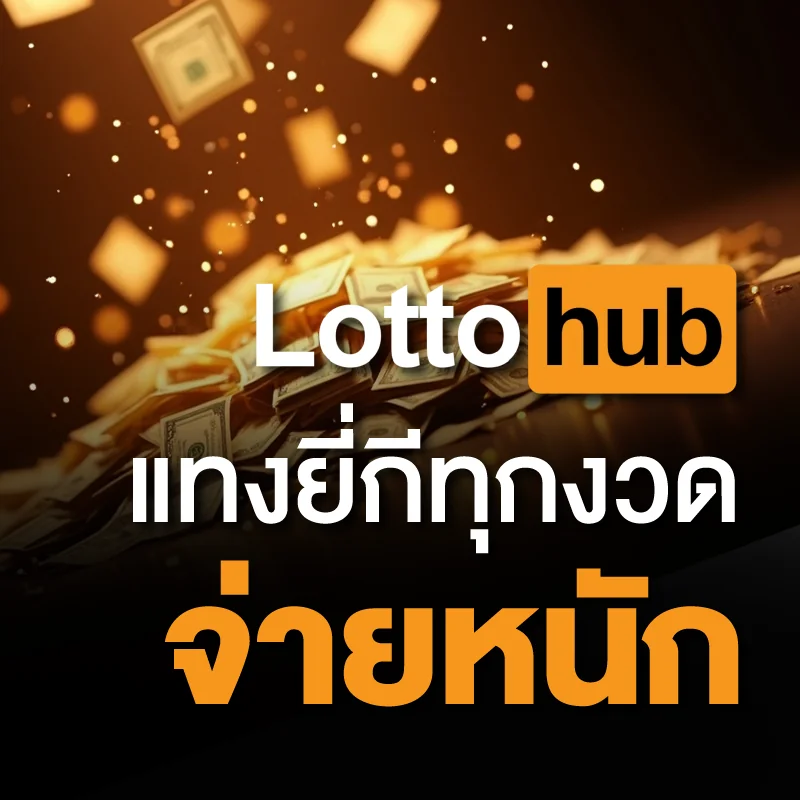 เล่นหวยยี่กี LOTTOHUB ดีไหม